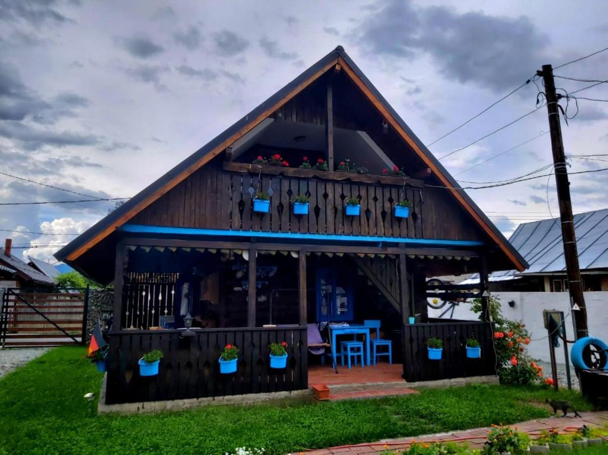 Casa Toth Din Tipterai Hotell Vişeu de Sus Exteriör bild
