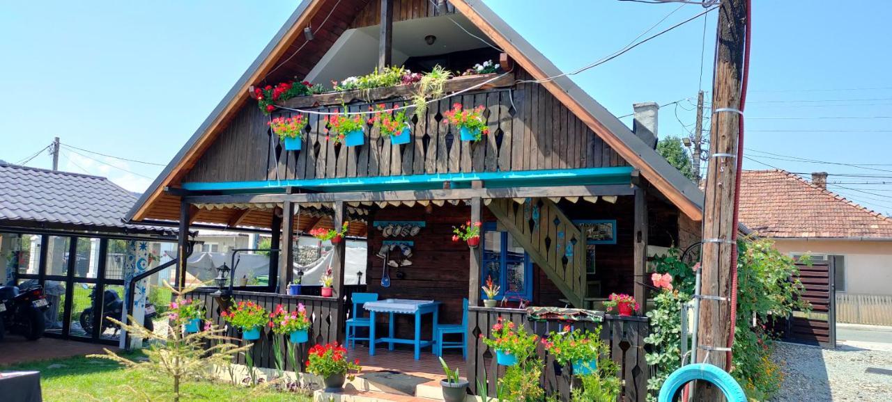 Casa Toth Din Tipterai Hotell Vişeu de Sus Exteriör bild