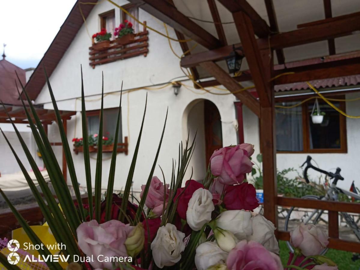 Casa Toth Din Tipterai Hotell Vişeu de Sus Exteriör bild